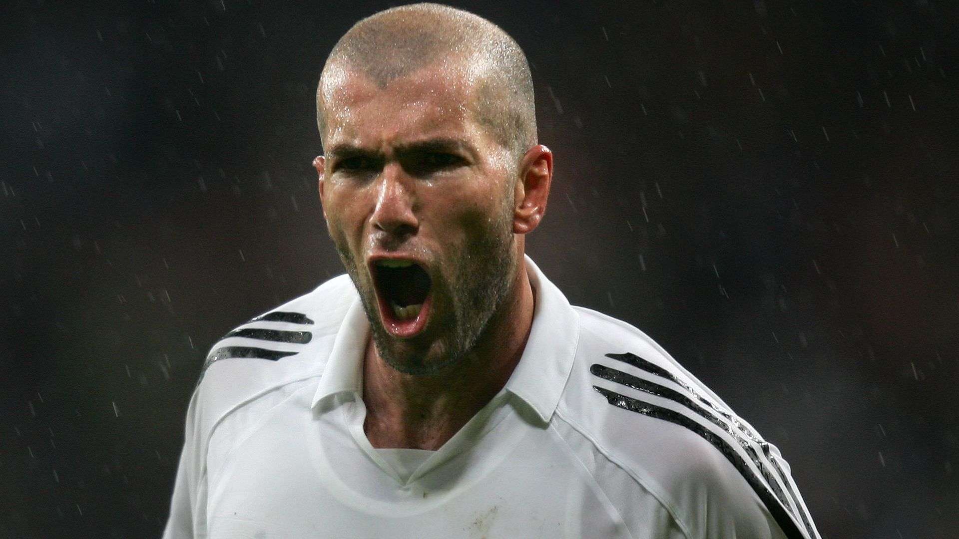 可能会遭遇 可能会遭遇